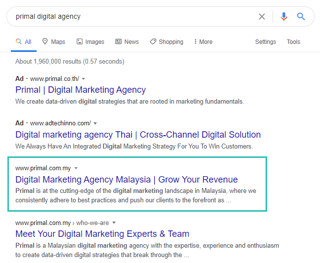 Screenshot showing Google Search results